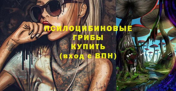 твердый Балахна